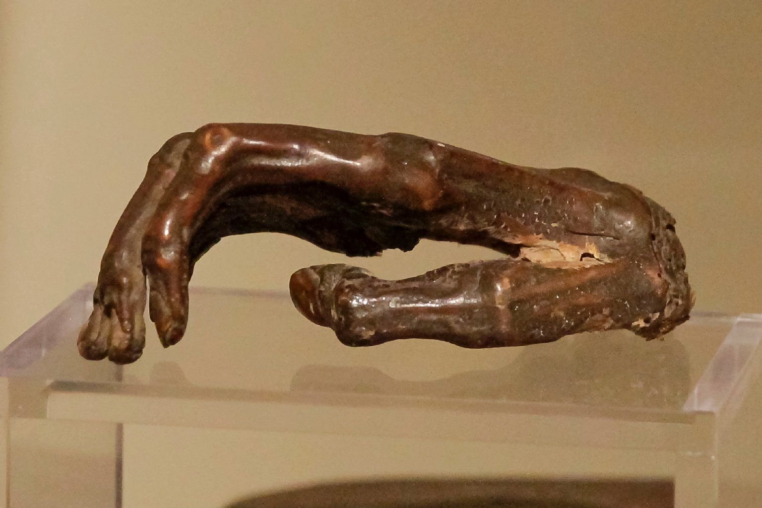 Die mumifizierte Hand ist in der Schatzkammer des Merseburger Doms ausgestellt. Ist es die Hand Rudolfs von Rheinfelden? Bewiesen ist es nicht. Seit dem Tod des Gegenkönigs im späten 11. Jahrhundert wird sie wie ein Heiligtum aufbewahrt.
