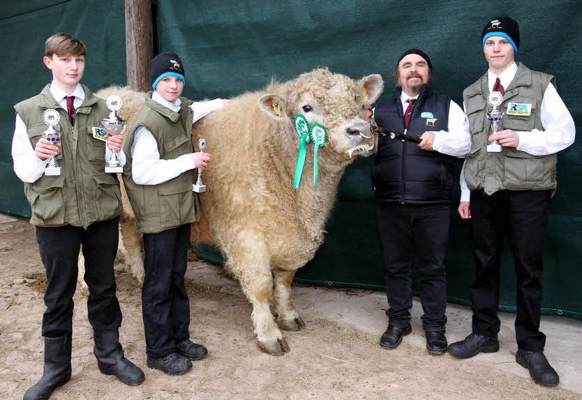 Karl-Friedrich Schöning (2.v.r.) präsentiert den prämierten Gallowaybullen „Rubio“. Maximilian Voigt (von links), Dominic Pütz und Jannik Zimmermann haben einen Ehrenpreis erhalten.