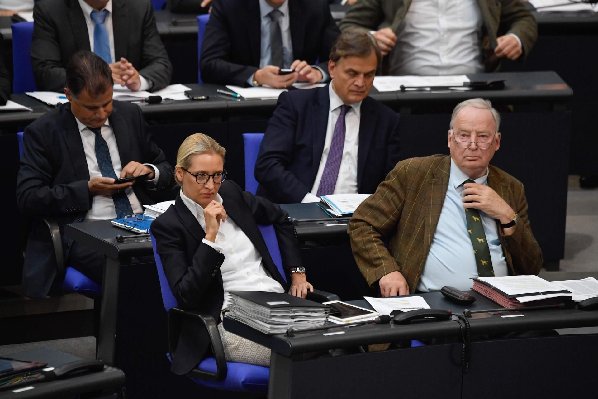Die AfD-Fraktionsvorsitzenden Alice Weidel und Alexander Gauland im Bundestag