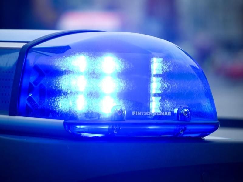 Das Blaulicht auf einem Polizeiauto leuchtet. Foto: Patrick Pleul/Archiv