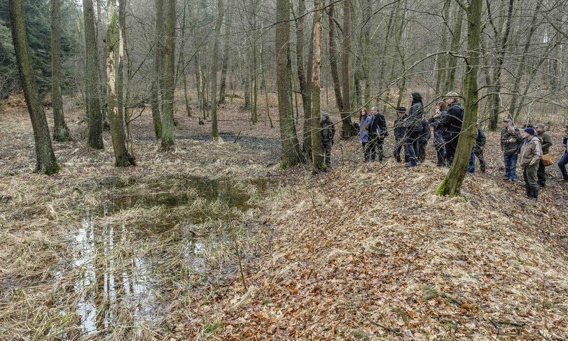 Die Wassersituation in der Nähe der Köhlerei hat auch negative Folgen für die Bäume des Heide-Waldes.