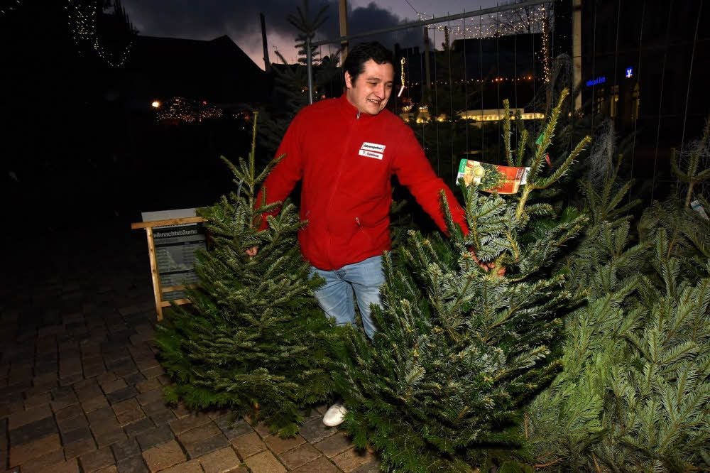 Auf dem Zeitzer Weihnachtsmarkt auf dem Altmarkt bietet Tim Gewiese Weihnachtsbäume an.