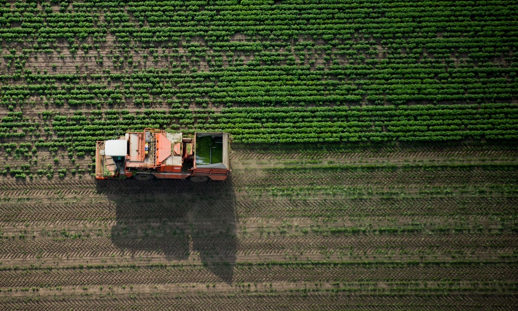 Knapp 60 Prozent der Landesfläche in Sachsen-Anhalt werden landwirtschaftlich genutzt.