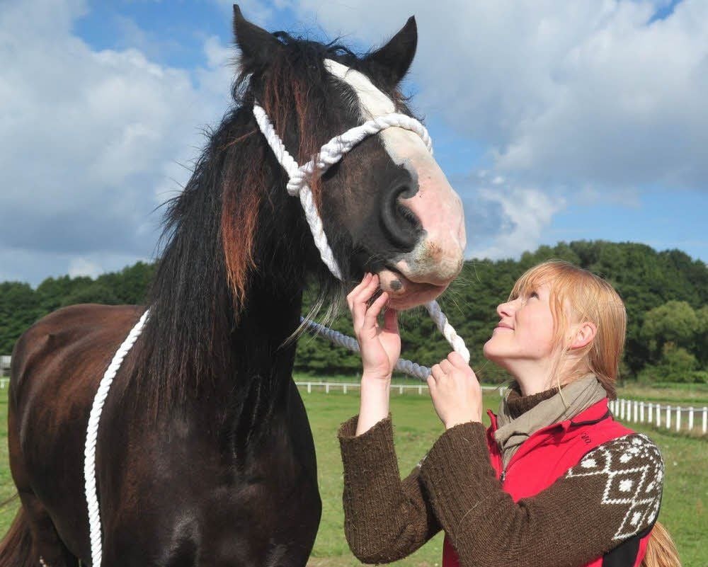 Janine Haubenreißer mit Shire Horse Graceland Shire la Belle
