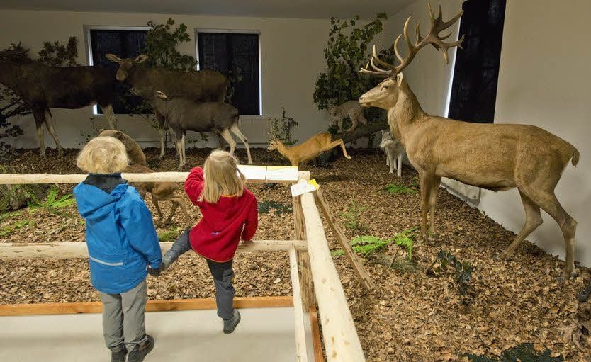 Kinder betrachten eine nachgestellte Naturszene.