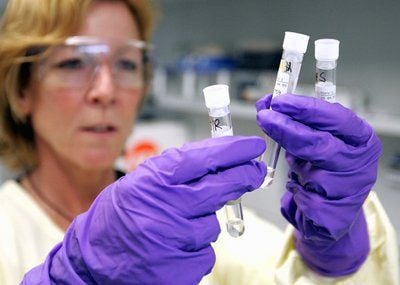 Eine medizisch-technische Assistentin (MTA) Inge Lettermann-Nass betrachtet am Institut für Virologie in Marburg Blutserum-Proben. Derzeit arbeiten die Virologen in Marburg mit Hochdruck an einem Impfstoff gegen dem neuen Schweinegrippe-Virus A/H1N1. (FOTO: DDP)