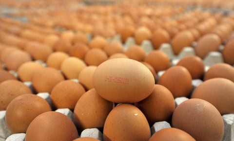 Für regionale Anbieter ist es oft schwer, ihre Produkte in großen Supermarkt-Ketten verkaufen zu können.