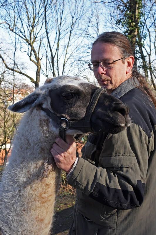 Alexander Beck präsentiert Spucky. Der Hengst ist an das Halfter gewöhnt.