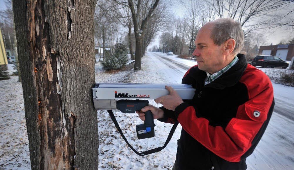 Thomas Eisel kann mit dem Bohrwiderstandsmessgerät den Gesundheitszustand des Baumes feststellen.