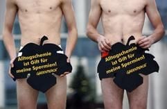 Nur mit Feigenblatt und Unterhose bekleidet stehen Greenpeace-Aktivisten am Dienstag (13.12.2005) in Berlin vor dem Bundeskanzleramt. Die Feigenblätter tragen die Aufschrift «Alltagschemie ist Gift für meine Spermien». Der Protest richtet sich gegen schädliche Chemikalien in Alltagsprodukten. (Foto: dpa)