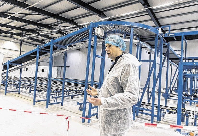 Hier sollen die Tomaten später verpackt und verschickt werden. Die Investoren wollen sechs Millionen Verbraucher in Ostdeutschland erreichen.