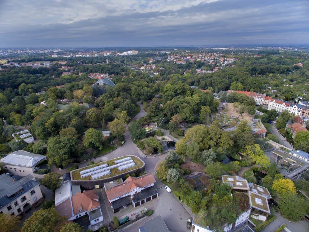 Schon bald können Besucher über eine Hängebrücken-Konstruktion auf das Elefanten-Gehege schauen, das zur Savannenlandschaft werden soll.