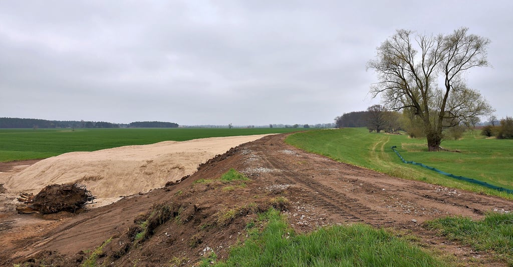 Aufschüttungen am rechten Elbehauptdeich zwischen Kilometer 33,9 und 35,5 bei Randau. Bis Jahresende sollen die Arbeiten abgeschlossen sein.