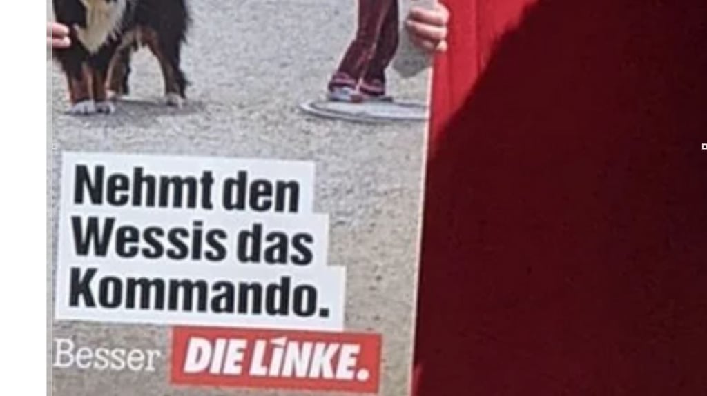 Wahplakat der Linken