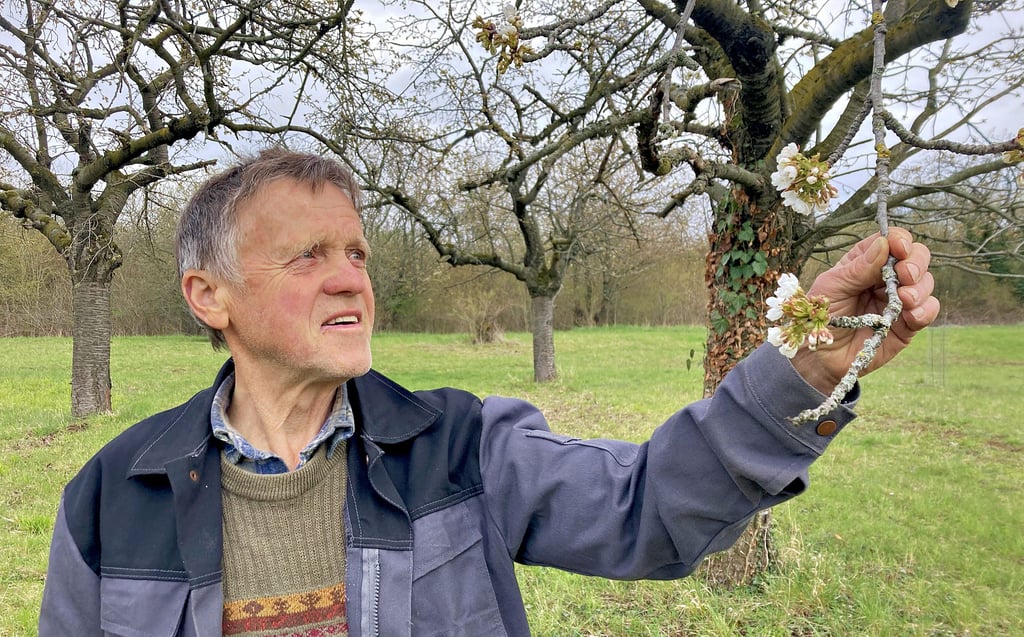 Hartwig Boye und seine Frau Johanna bewirtschaften im Huy zehn Hektar Obstplantagen.