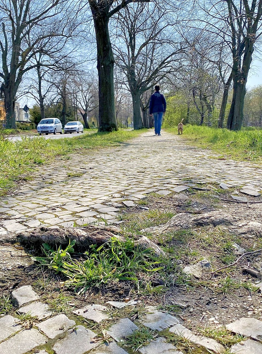 Der Fußweg in der Elballee ist in einem desolaten Zustand