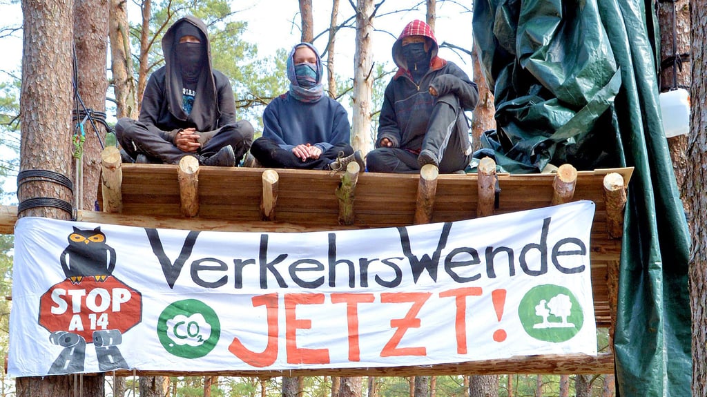 Eine Handvoll friedlicher Naturschützer richtet sich auf längere Zeit in einem Wald bei Losse ein. Hintergrund ist der Widerstand gegen den Bau der A 14. Vorbild sind Proteste wie im Hambacher oder Dannenröder Forst.