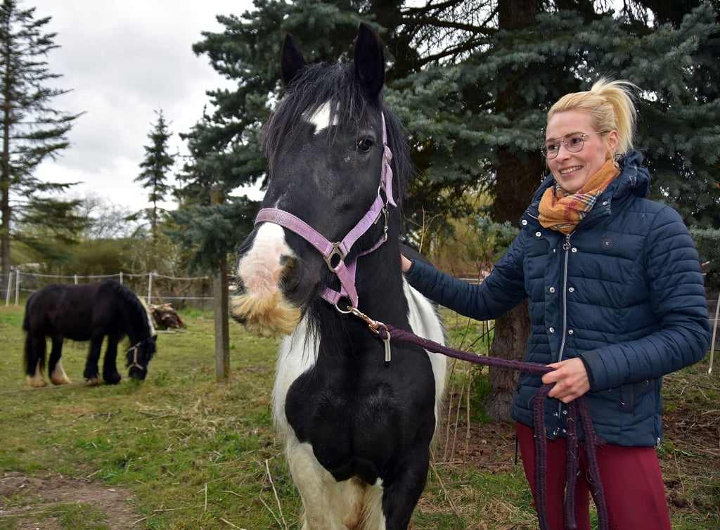 Reitlehrerin Madleen Berger präsentiert auf der Koppel hinter dem einstigen Pfarrhaus Maria, eine Irish-Tinka-Stute. Maria gehört zu den acht Pferden auf dem familiären Reiterhof in Wegenstedt.