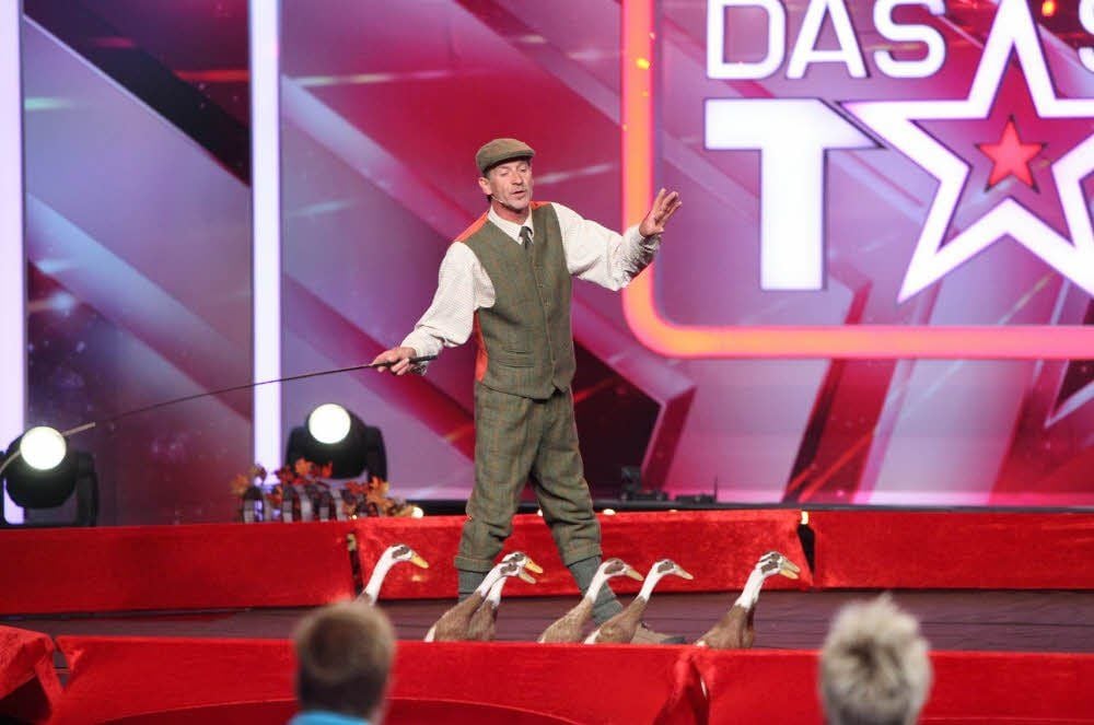 Beim Casting haben Jochen Träger und seine Laufenten die Jury überzeugt. Ins Finale hat es der Tierlehrer am Ende aber nicht geschafft.