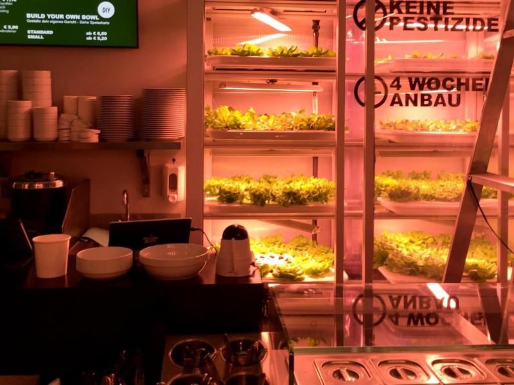 Diverse Salate in Berlin im Salatrestaurant "Good Bank". Foto: Gregor Tholl