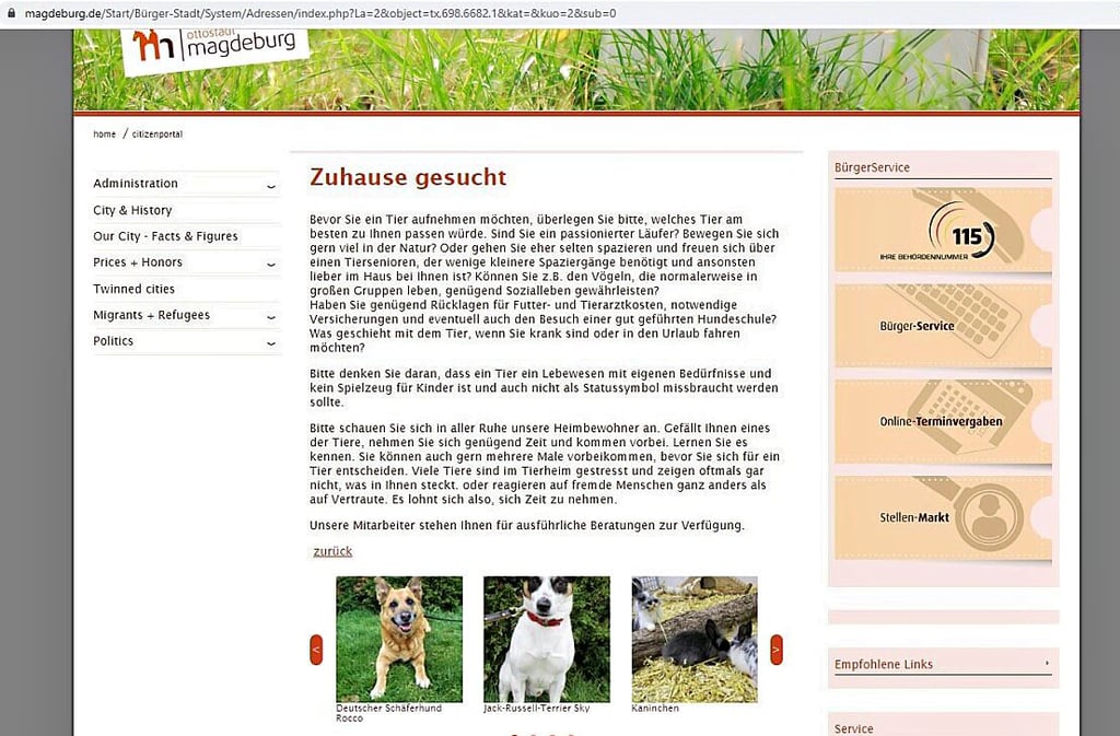 Der Internetauftritt des Tierheims ist eingebettet in die Website der Landeshauptstadt.