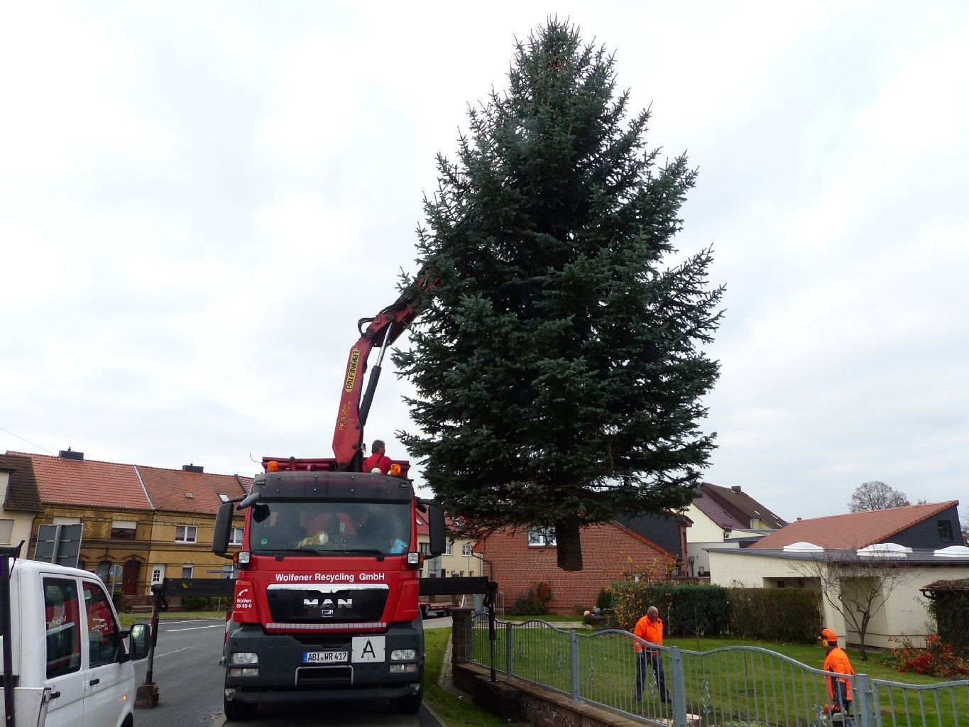 Eine Familie aus Jeßnitz hat den diesjährigen Weihnachtsbaum für den Bitterfelder Mark gesponsert.