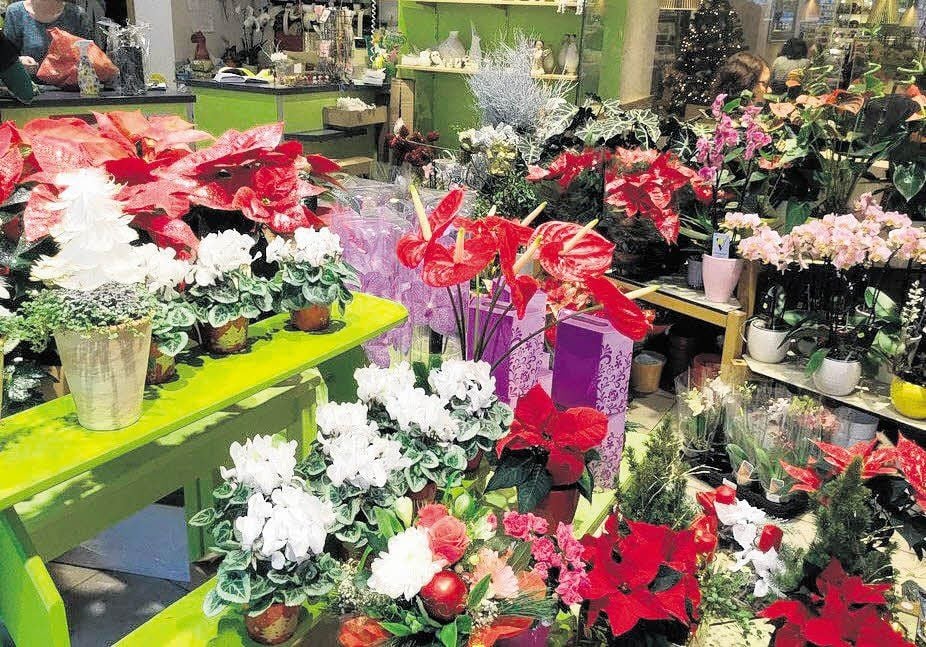 Das Blumengeschäft im Elka gibt es seit 1997. Inzwischen ist dort schon zweimal umgebaut worden. Die Baldaufs betreiben außerdem noch den Laden am Krankenhaus.