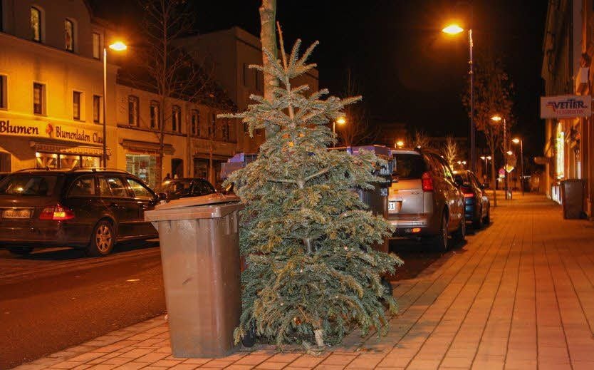 Ein Weihnachtsbaum steht an der Bio-Tonne heißt: bitte entsorgen.
