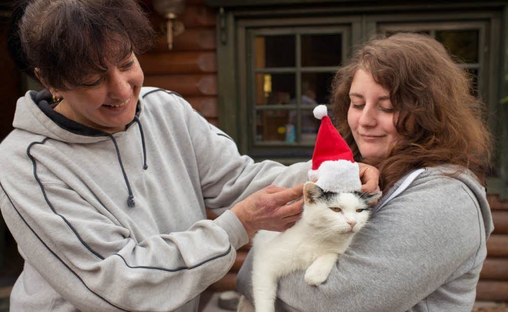 Ramona Anders und Jessica Natschke (r.) feiern schon mal im Katzenhaus im Tierheim Quedlinburg Weihnachten.