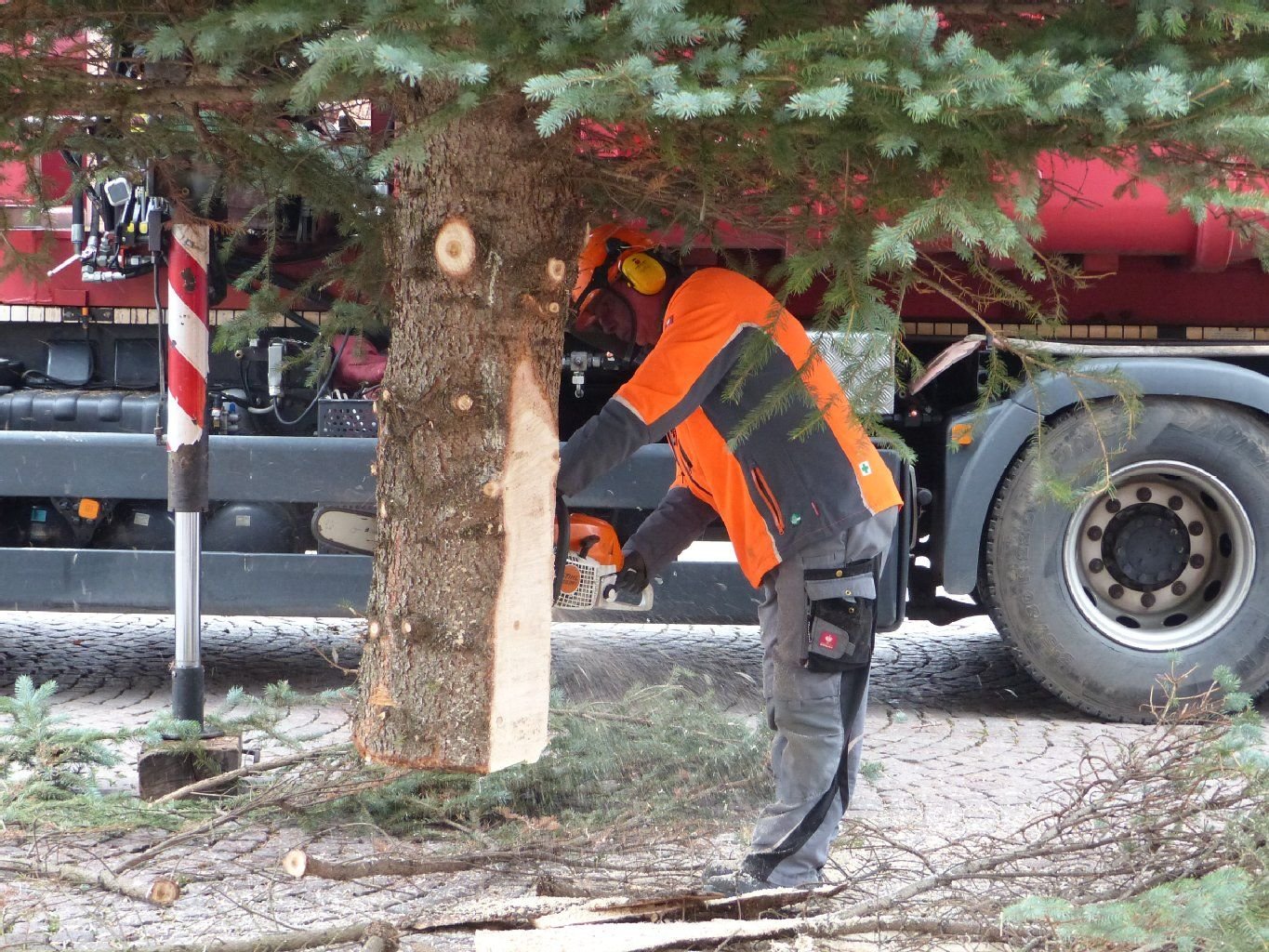 Der Weihnachtsbaum wird auf dem Bitterfelder Markt aufgestellt