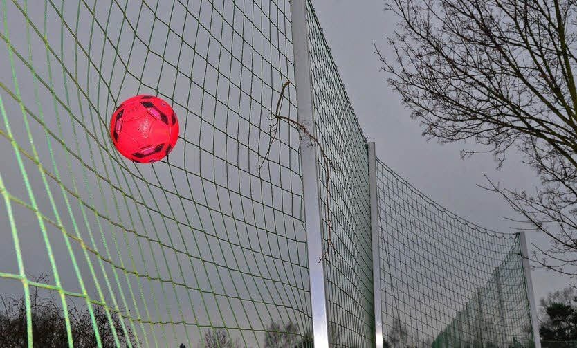 Das Ballfangnetz stoppt einen Ball. Es ist aber nur vier Meter hoch.