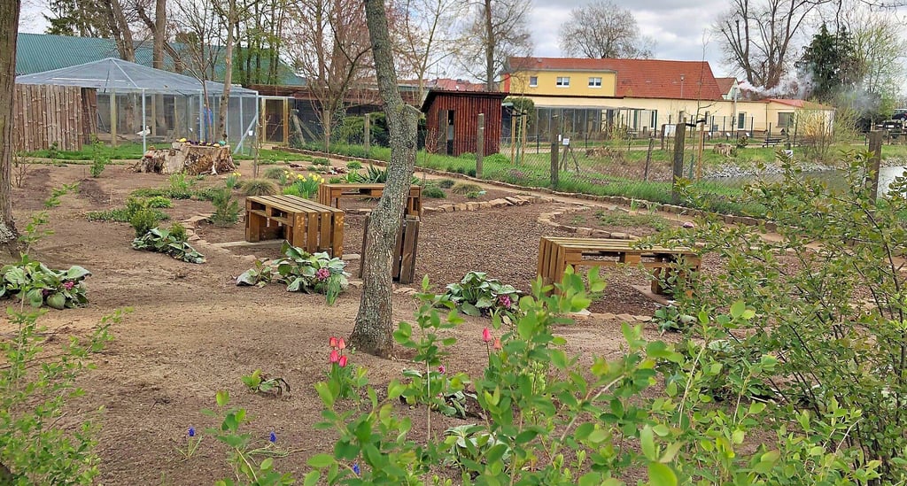 Picobello gepflegt ist der Kräutergarten des ?Wir?-Vereins am Jessener Schwanenteich, hier der Teil mit dem Verweilbereich.