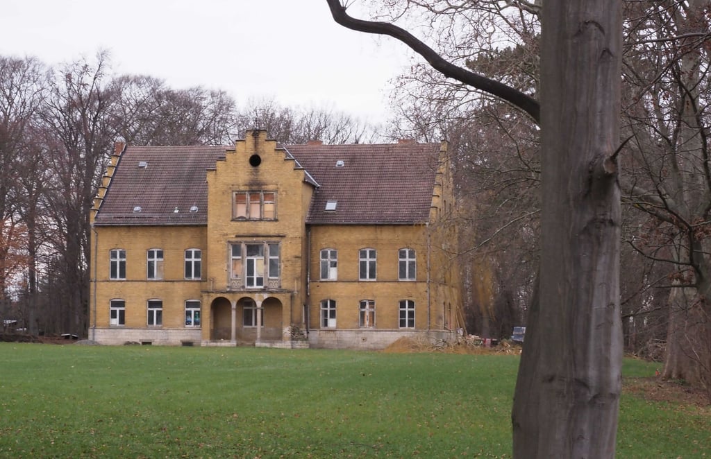 Von Bäumen gesäumt ist das Gelände des einstigen Schauener Herrenhauses, für das ein Bebauungsplanverfahren läuft.
