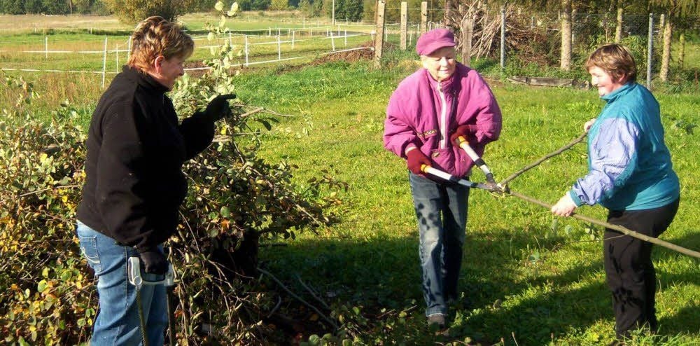 Auf dem Gelände rund um den Backofen in Mönchenhöfe wurde am Samstag eifrig gearbeitet. Heike Thäle, Marlies Marotzke und Anke Däumichen (von links) rückten dabei dem Grünzeug zu Leibe.