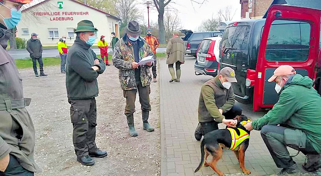 Halter von Tiroler Bracken aus ganz Norddeutschland trafen sich am Wochenende zur Ausbildung ihrer Vierbeiner in Zeppernik und Ladeburg.