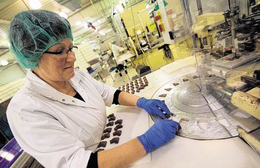 Zum Jahresbeginn läuft bei Wergona die Produktion für Ostern. Unter anderem werden kleine Schoko-Osterhasen hergestellt.