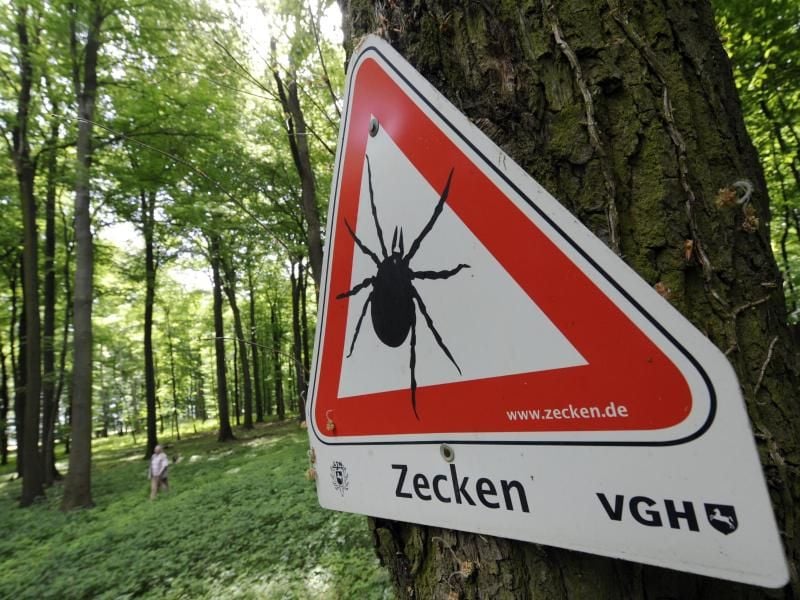 Vor Zecken wird mit einem Schild in einem Waldgebiet südlich von Hannover gewarnt. Foto: Holger Hollemann/Illustration