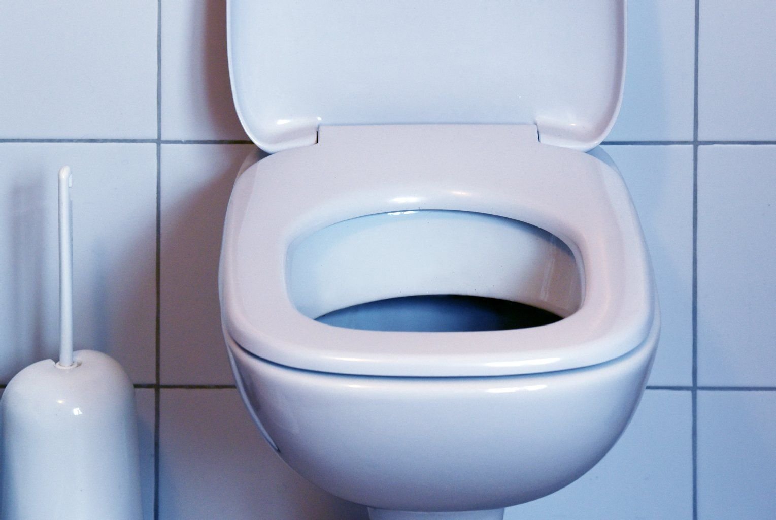 Hauptverdächtiger: Die Toilette