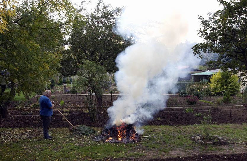 Die Kleingärtner in Ballenstedt dürfen weiterhin Gartenabfälle verbrennen.