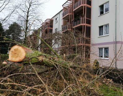 So sieht es derzeit in der Karl-Marx-Straße aus.