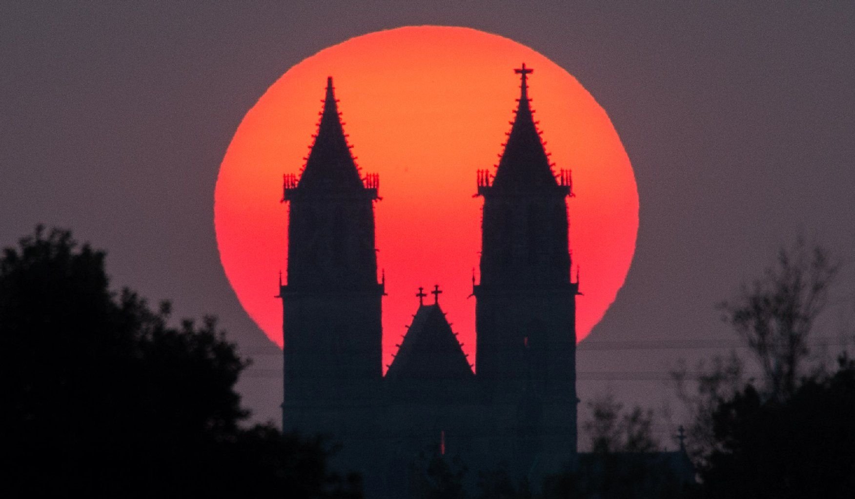 Der Magdeburger Dom