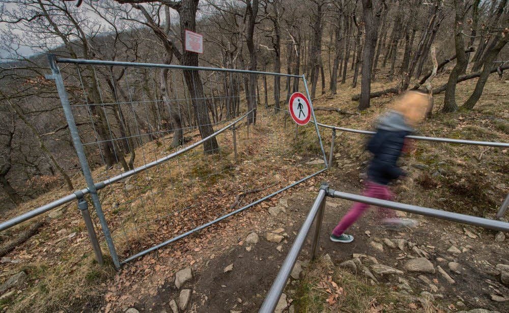 Der Wanderweg zwischen Hirschgrund und Rosstrappe bleibt weiter gesperrt.