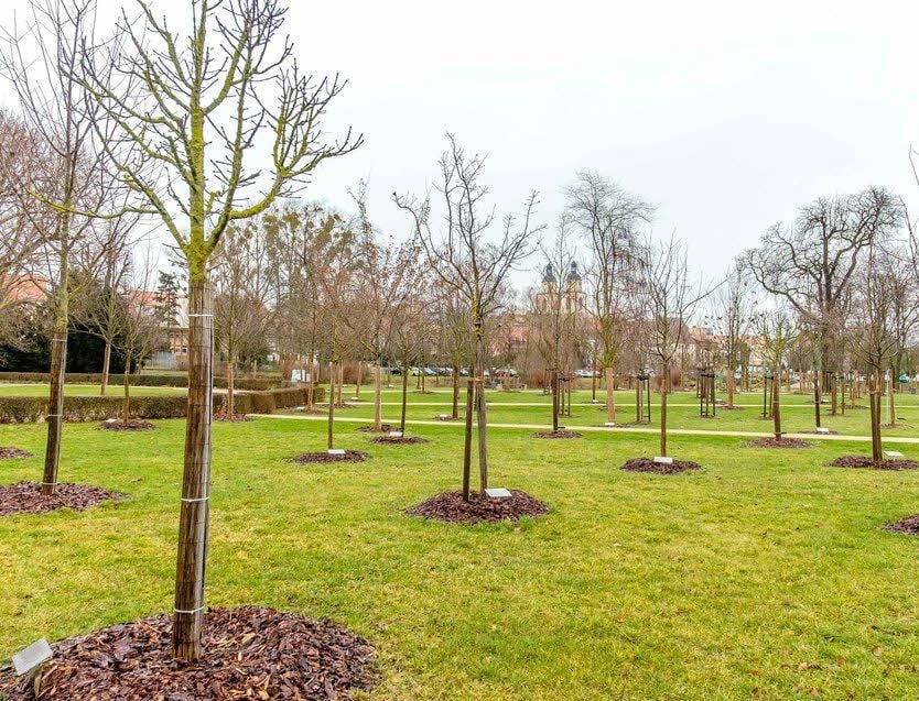 Im Juni wird der Luthergarten feierlich übergeben.