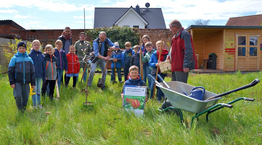 Gemeinsam pflanzen Mädchen und Jungen der Grundschule Osterweddingen zusammen mit Wolfgang Zahn (M.), Anja Schlender (l.), Liane Samland und Hans-Otto Hornemann den neuen Apfelbaum.