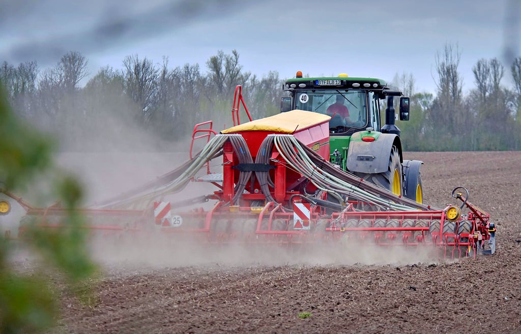 Auf großen Schlägen bringen die Mitarbeiter der Agrargenossenschaft Löberitz in diesen Tagen mit moderner Technik den Mais in die Erde.