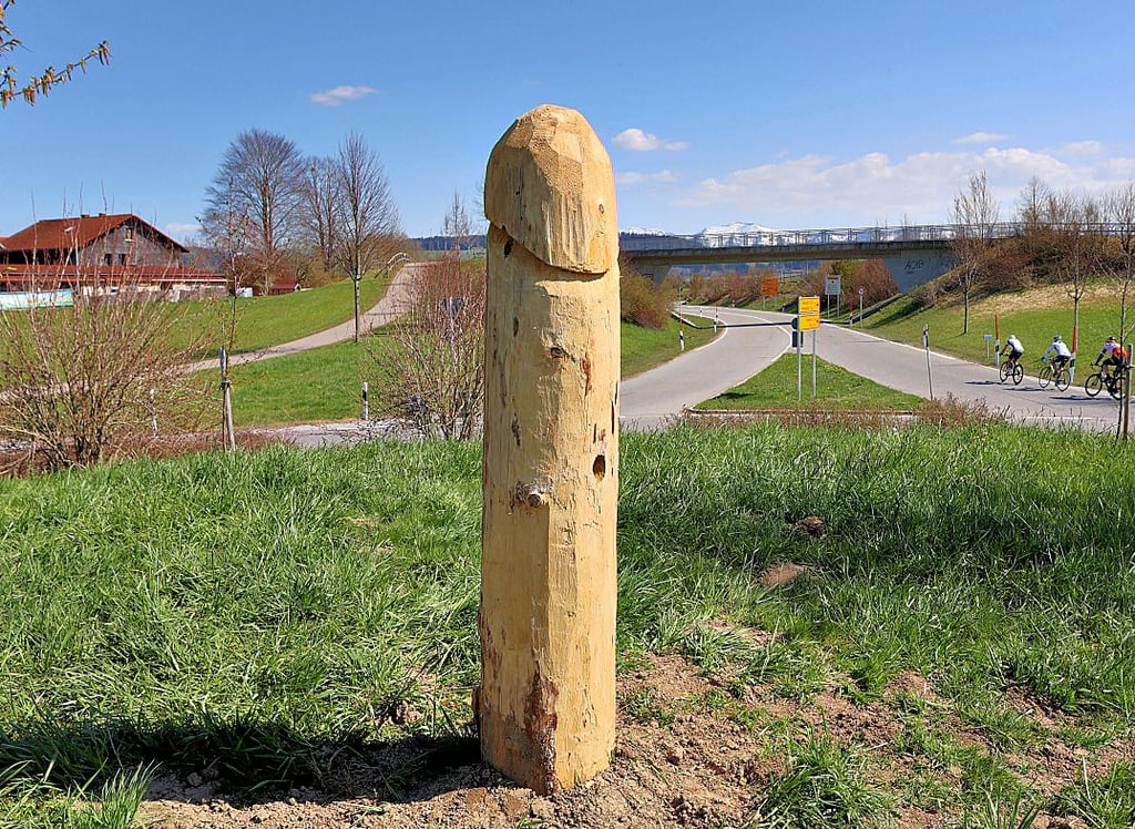 Der Holzpenis von Heimenkirch war nur kurz Medien-Star. Erst plötzlich da, jetzt schon wieder weg.