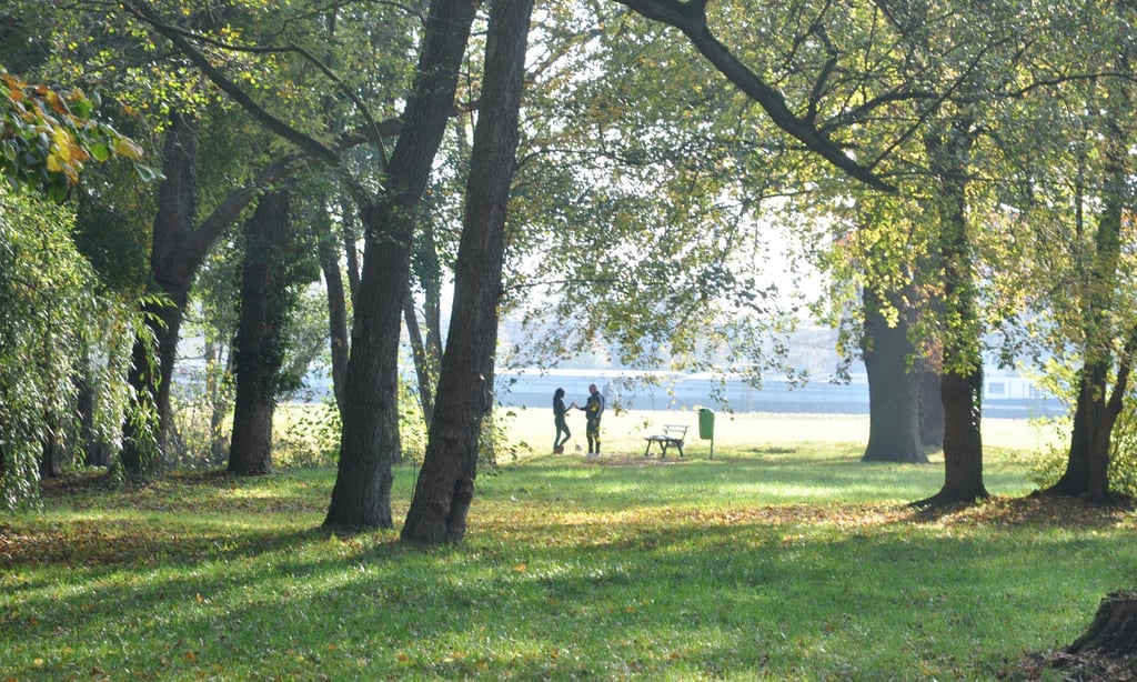 Die Präsentation des Volksparkkonzeptes entfällt.