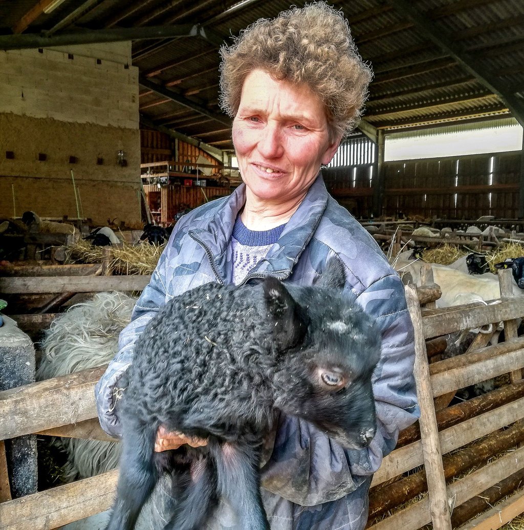 Familie Wähler züchtet seit zwei Generationen Schafe. Sylvia Wähler kümmert sich um die Lämmer und zieht manche mit der Flasche auf.