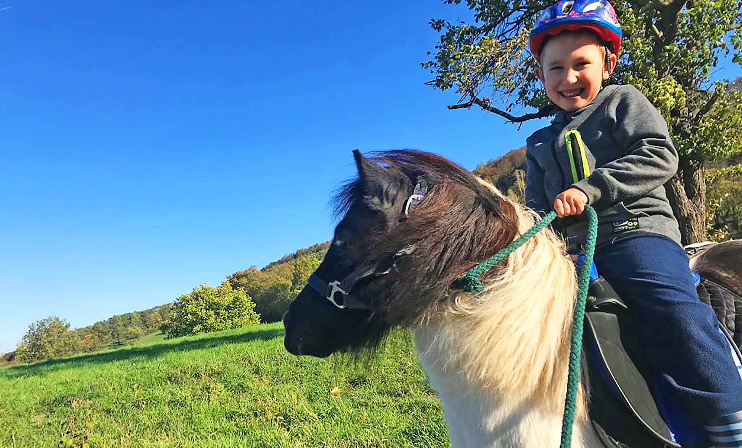 Auf Dem Rücken Der Pferde Sprüche Glücklich auf dem Rücken der Pferde