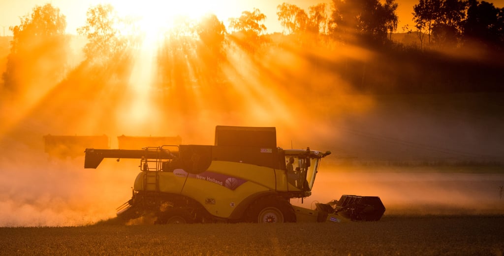 Seit 2019 stagniert im Salzlandkreis die Anzahl der ökologisch wirtschaftenden Landwirtschaftsbetriebe.